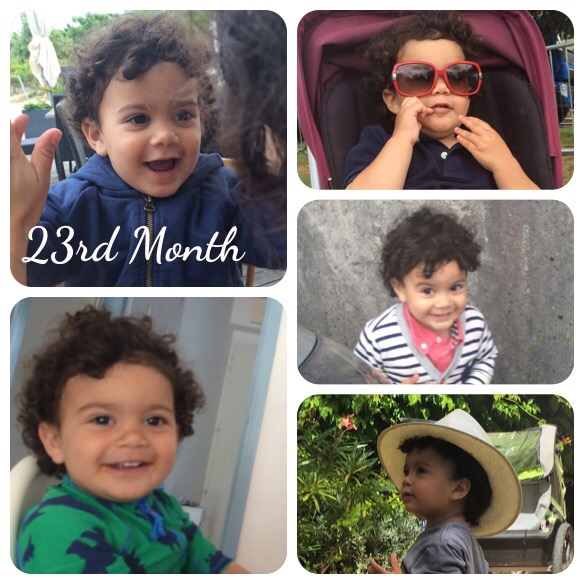 23 Months old