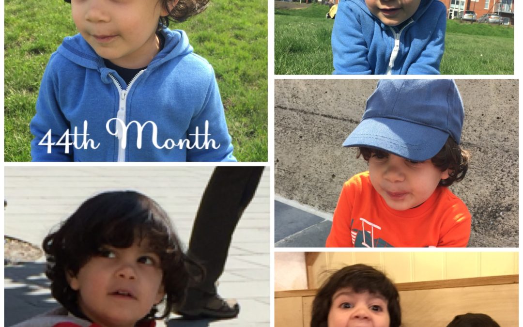 44 months Aydi and more wonderful by the month!