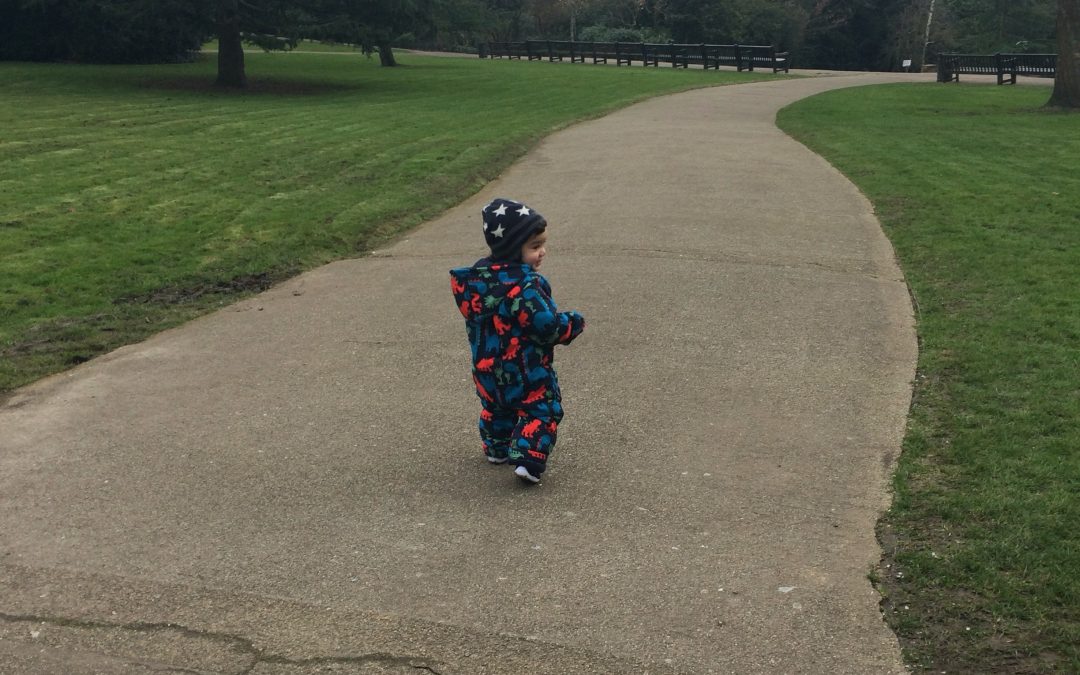 Morning stroll with a little Mr early bird & play group